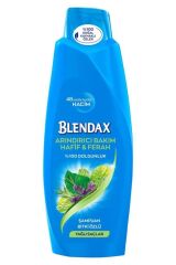 BLENDAX ŞAMPUAN 500ML BİTKİ ÖZLÜ